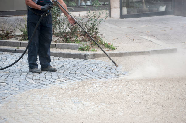 Best Animal Enclosure Cleaning  in Forest City, IA