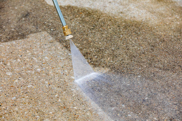 Best Roof Washing  in Forest City, IA